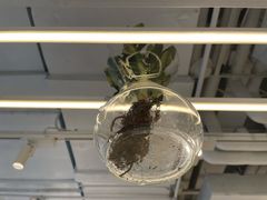 -% Arabica阿拉比卡咖啡(前滩太古里店)
