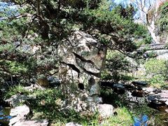 -静安公园(静安寺街道)