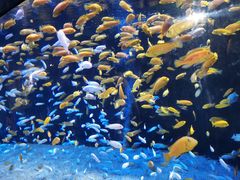 -成都浩海立方海洋公园