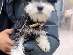 -派特宠物医院(圆融广场店)