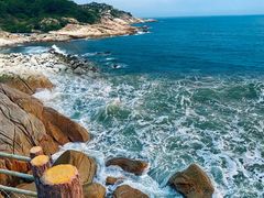 -广东惠东海龟国家级自然保护区