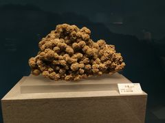 -贵州省地质博物馆