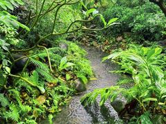 -水底山庄园温泉