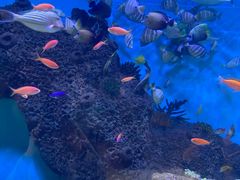 -横店影视城梦幻谷园区