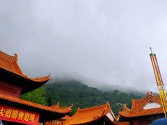 -深圳仙湖植物园