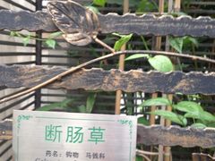 -广州神农草堂中医药博物馆