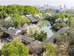 -八大山人梅湖景区