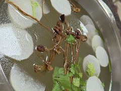 -山珍鲜牛肉火锅本地老字号(汕中老店)