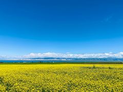 -青海湖国家重点风景名胜区