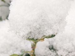 -大连海昌东方水城