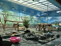 -秦皇岛野生动物园