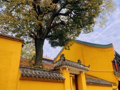 -宝通禅寺