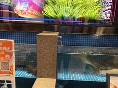 -涿派·炝锅鱼(涿州店)