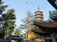 -高旻寺