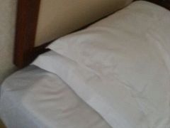 android_upload_pic-沈阳玫瑰大酒店