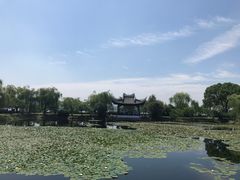 -无锡蠡湖国家湿地公园-蠡园