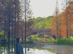 -云溪植物园