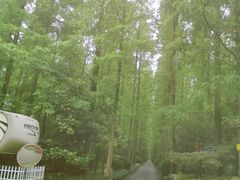 -上海怡沁园度假酒店
