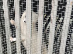 -第五季龙水凤港生态露营农场
