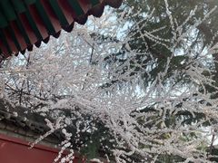 -西安市广仁寺