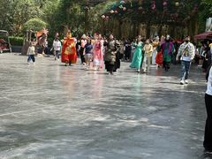 -郑州方特梦幻王国