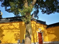 -灵岩山风景区