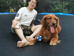 -汪说喵讲宠物乐园宠物酒店(红星美凯龙店)