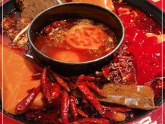 -蜀辣居鲜货老火锅(红牌楼店)
