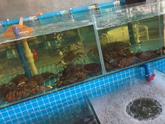 -蓝珊甄选海鲜自助·火锅大排档(近阿那亚店)