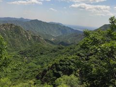 -大岭沟猕猴桃谷风景区