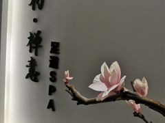 -锦初·禅意4K影院式足道·新中式SPA(茂业天地店)