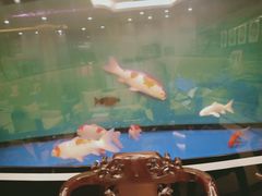 -全聚德(友谊店)