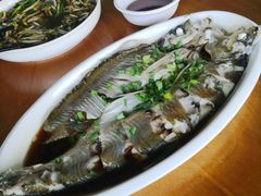 -晓琦农家菜馆·地道农家菜