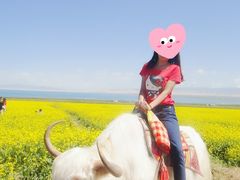 -青海湖国家重点风景名胜区