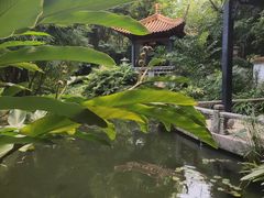 -广州兰圃
