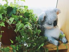-四月吧餐厅(正阳步行街店)
