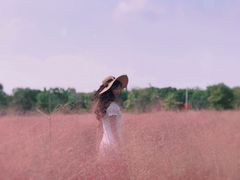 -鹅湖玫瑰文化园