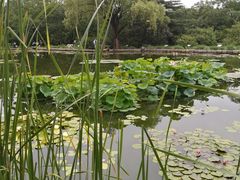 -国家植物园南园