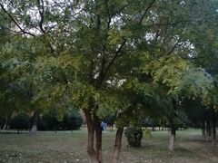 -东北大学(南湖校区)