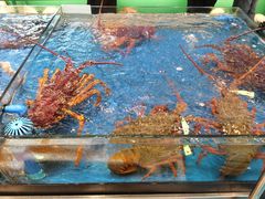 -飞尝蚝·顺德菜·鱼生(顺德总店)