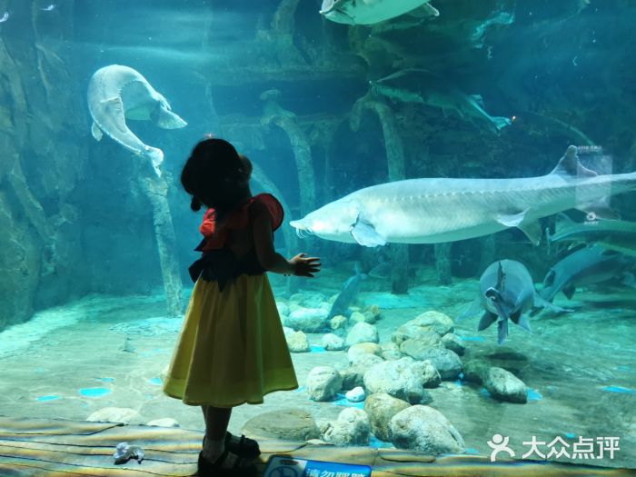 华夏文旅海洋公园图片