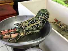 -金巴兰海滩烛光bbq