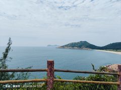 -广东惠东海龟国家级自然保护区