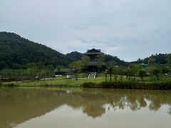 -中山市树木园