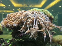 -超级厨房概念餐厅(奥园广场店)