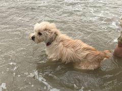 -嵊泗基湖沙滩