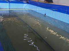 -小象钓虾·营地烧烤(洛溪店)