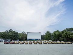 -枫花园汽车电影院(朝阳公园店)