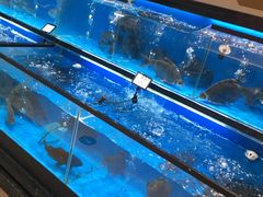 -三江购物(上上城店)