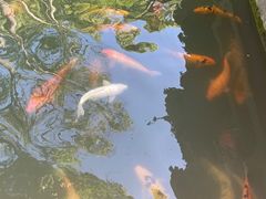 -上海方塔园